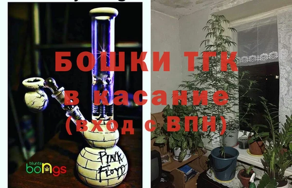 ГАЛЛЮЦИНОГЕННЫЕ ГРИБЫ Алзамай