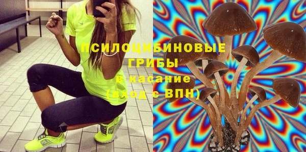 ешки Алексеевка
